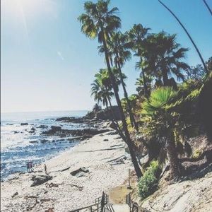 Meet your Posher, Dalia